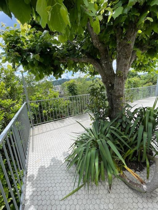 Paisible Eden Standing Terrasse - Magnifique Vue - Esprit Nature En Pleine Ville Tulle Exterior photo