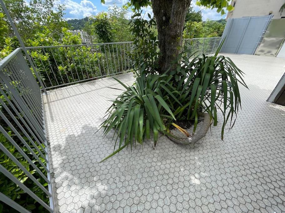 Paisible Eden Standing Terrasse - Magnifique Vue - Esprit Nature En Pleine Ville Tulle Exterior photo