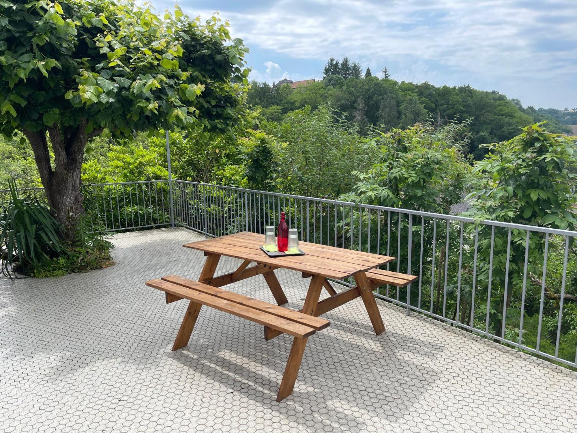 Paisible Eden Standing Terrasse - Magnifique Vue - Esprit Nature En Pleine Ville Tulle Exterior photo